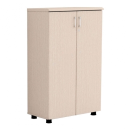Tủ tài liệu gỗ công nghiệp NT1260D